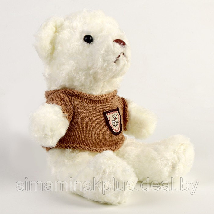 Мягкая игрушка «Медведь» в кофте, 29 см, цвет белый - фото 2 - id-p215457683