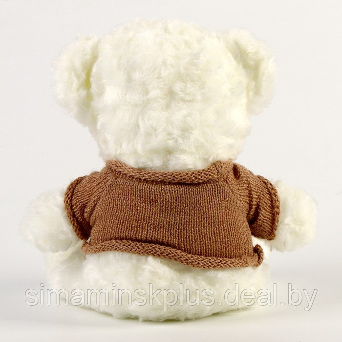 Мягкая игрушка «Медведь» в кофте, 29 см, цвет белый - фото 3 - id-p215457683