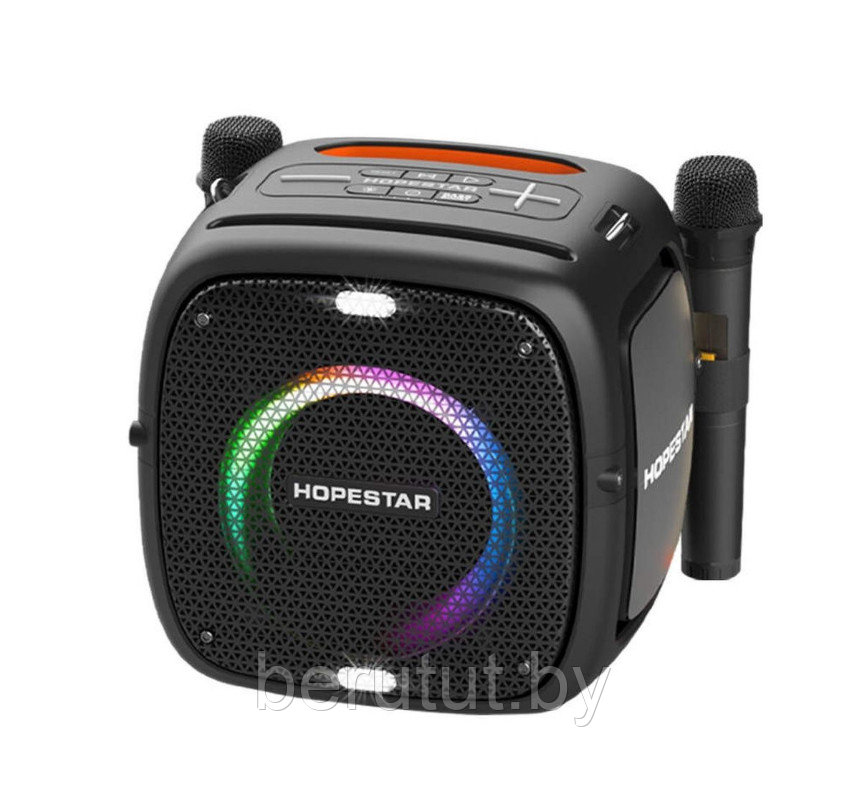 Колонка портативная музыкальная Bluetooth Hopestar PARTY ONE с 2 микрофонами - фото 2 - id-p215459019