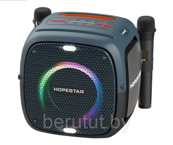 Колонка портативная музыкальная Bluetooth Hopestar PARTY ONE с 2 микрофонами - фото 5 - id-p215459019