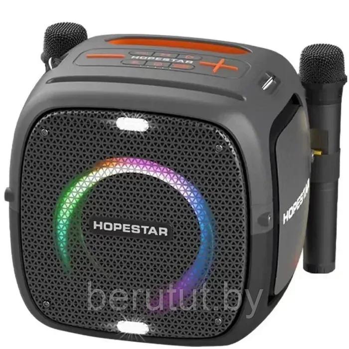 Колонка портативная музыкальная Bluetooth Hopestar PARTY ONE с 2 микрофонами - фото 4 - id-p215459019