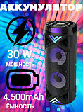 Портативная колонка ZQS-6201 BT SPEAKER Bluetooth + пульт + микрофон + радио, фото 2