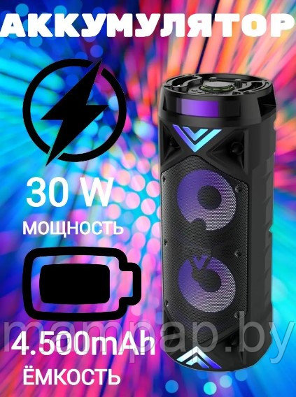 Портативная колонка ZQS-6201 BT SPEAKER Bluetooth + пульт + микрофон + радио - фото 2 - id-p158642508