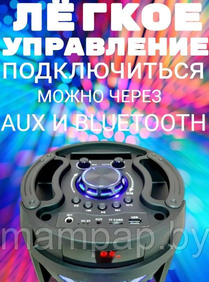 Портативная колонка ZQS-6201 BT SPEAKER Bluetooth + пульт + микрофон + радио - фото 3 - id-p158642508