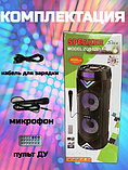 Портативная колонка ZQS-6201 BT SPEAKER Bluetooth + пульт + микрофон + радио, фото 5