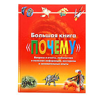 Большая книга «Почему»