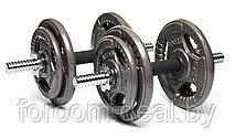Набор гантелей металлических Хаммертон Atlas Sport 2x9,5 кг