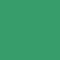Картон Folia 50х70см., 300г/м2 (зеленая ель)