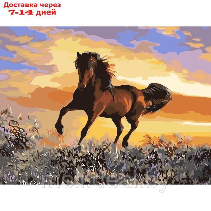 Картина по номерам на холсте "Грациозный бег коня", 40х30 см - фото 1 - id-p215506820