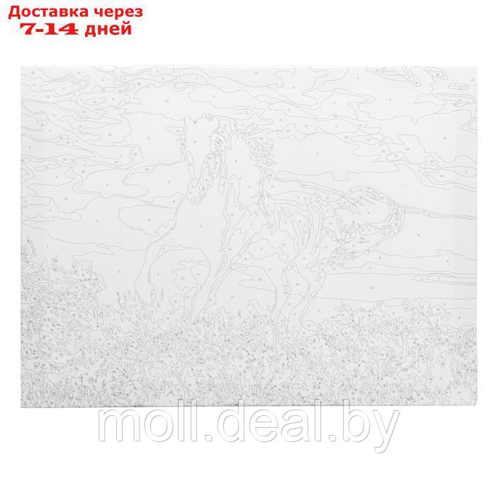 Картина по номерам на холсте "Грациозный бег коня", 40х30 см - фото 3 - id-p215506820