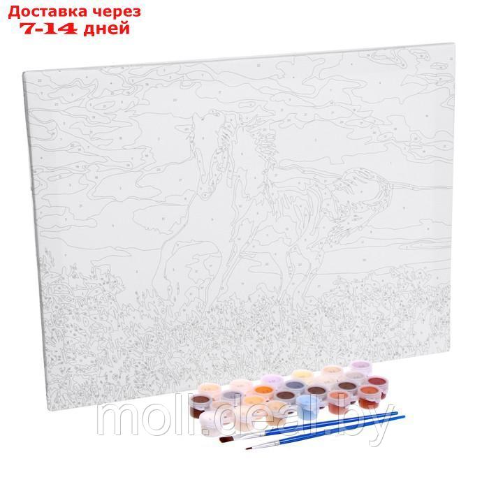 Картина по номерам на холсте "Грациозный бег коня", 40х30 см - фото 5 - id-p215506820