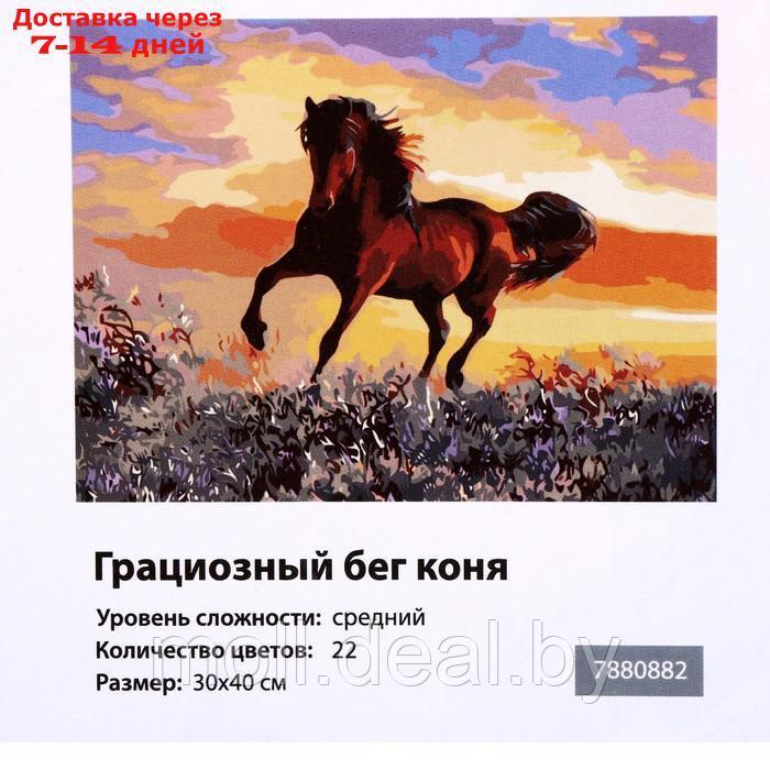 Картина по номерам на холсте "Грациозный бег коня", 40х30 см - фото 6 - id-p215506820