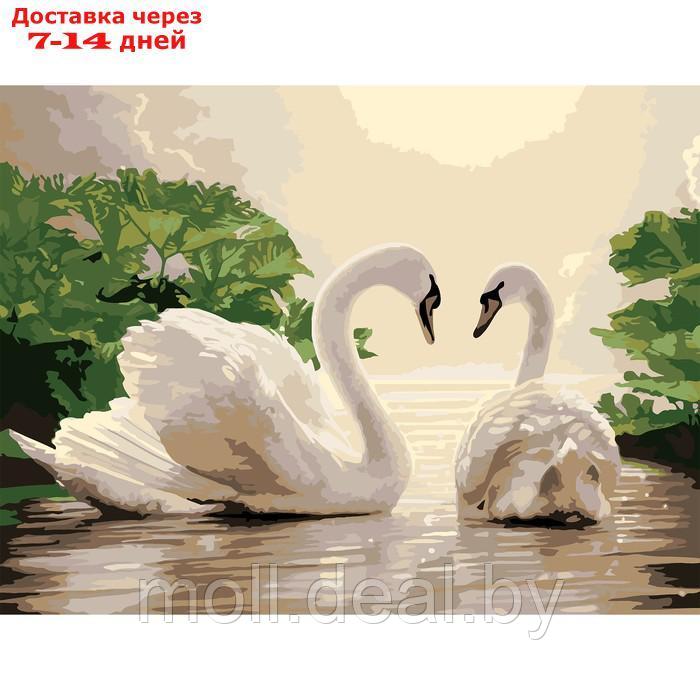 Картина по номерам на холсте "Лебеди на тихом пруду", 40х30 см - фото 1 - id-p215506821