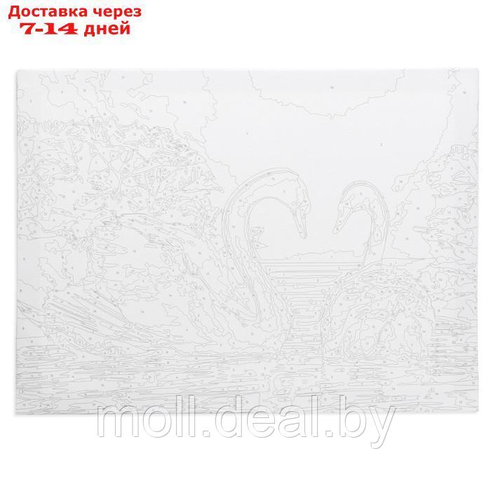 Картина по номерам на холсте "Лебеди на тихом пруду", 40х30 см - фото 4 - id-p215506821