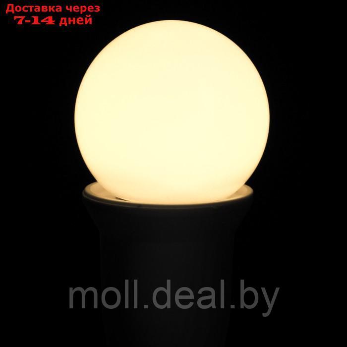 Лампа светодиодная Luazon Lighting, G45, Е27, 1.5 Вт, для белт-лайта, т-белая наб 20 шт - фото 4 - id-p215506271