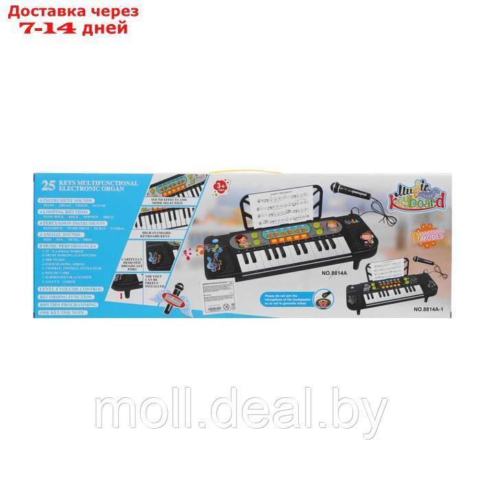 Синтезатор "Играй и пой", 25 клавиш, микрофон, работате от батареек - фото 2 - id-p215509123