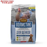 Сухой корм Холистик Премьер "Деревенские лакомства", для щенков, курица с рисом, 3 кг