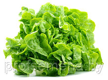 Салат листовой Дубовый Лист зеленый, семена, 0,5гр, Польша, (сдв)