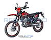 Мотоцикл Regulmoto Sport-003 PR PRO, фото 2