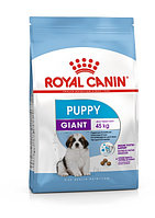 Royal Canin Puppy Giant, 15 кг