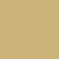 Картон Folia 50х70см., 300г/м2 (светло-желтый)