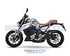 Мотоцикл Regulmoto ALIEN MONSTER 300, фото 4