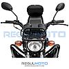 Мопед Regulmoto Alpha (RM-2) (без кофра), фото 6
