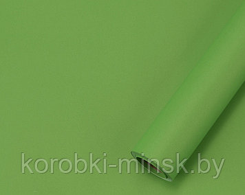Пленка флористическая Самая нужная 58см* 10м, 55мкр, Ярко-зеленый