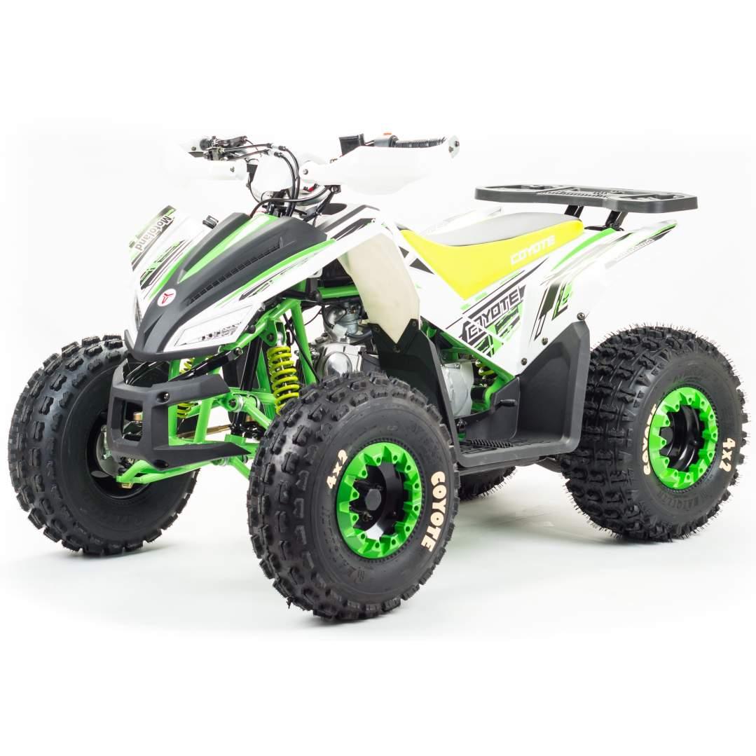 Квадроцикл Motoland 125 COYOTE