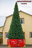 Сосна уличная Green Trees Альпийская 3 м.