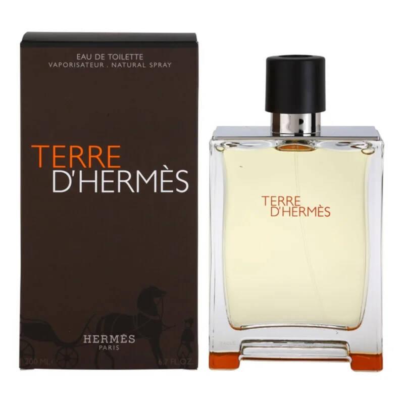 Мужские духи Hermes Terre D`Hermes 100ml (LUX EURO) - фото 1 - id-p215594121