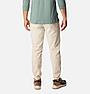 Брюки мужские Columbia Steens Mountain™ Pant бежевый 2054681-278, фото 2