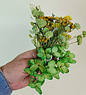 Набор сухоцветов Многоцветие №2 для декора саше, свечей и мыла, фото 4