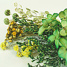 Набор сухоцветов Многоцветие №2 для декора саше, свечей и мыла, фото 2