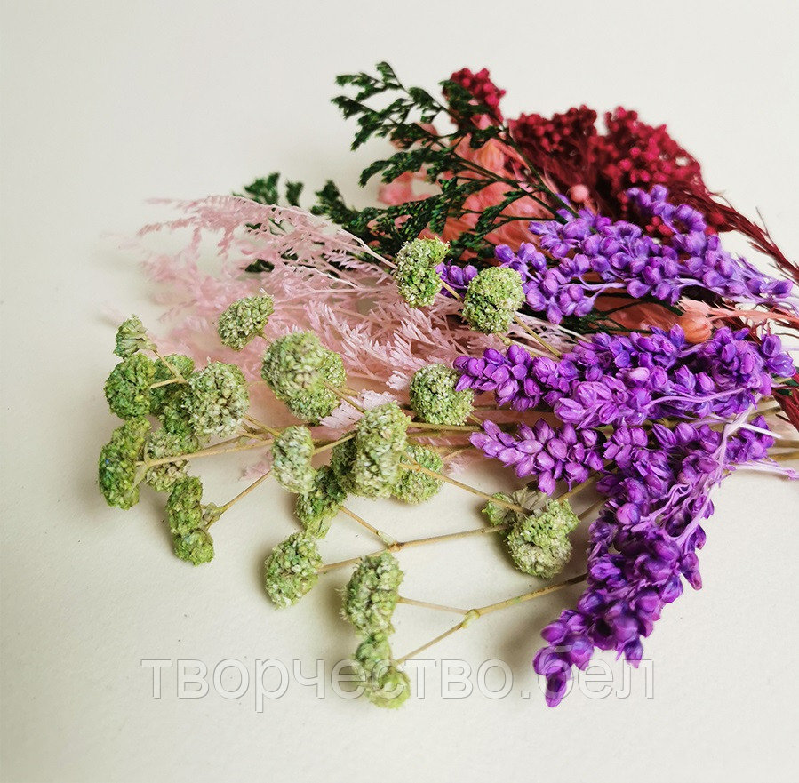 Набор сухоцветов Многоцветие №3 для декора саше, свечей и мыла - фото 2 - id-p215594347