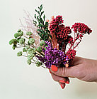 Набор сухоцветов Многоцветие №3 для декора саше, свечей и мыла, фото 3