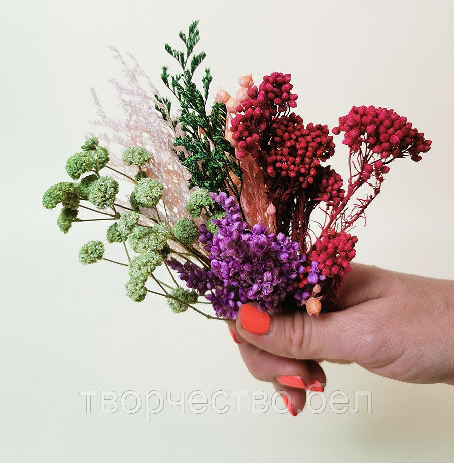 Набор сухоцветов Многоцветие №3 для декора саше, свечей и мыла - фото 3 - id-p215594347