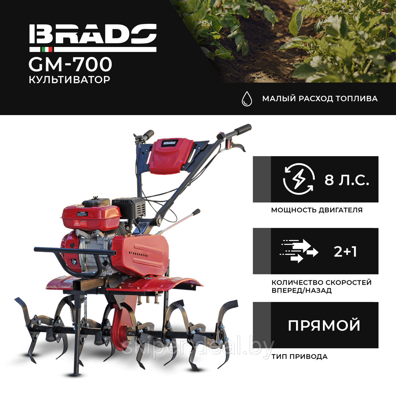 Культиватор BRADO GM-700 (8 л.с., без ВОМ, передач 2+1, без колёс) - фото 1 - id-p172476894