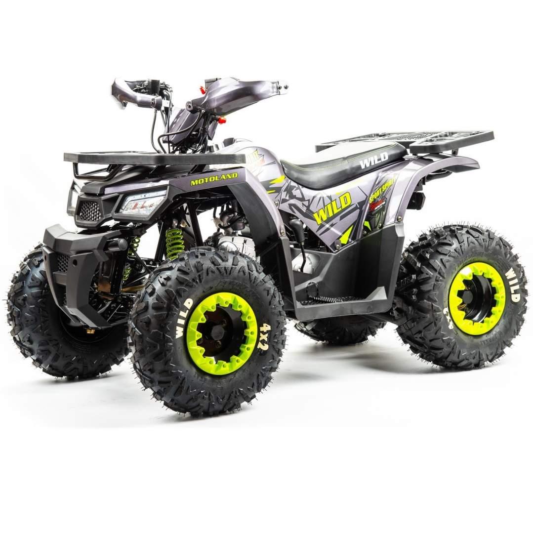 Квадроцикл Motoland 125 WILD X А