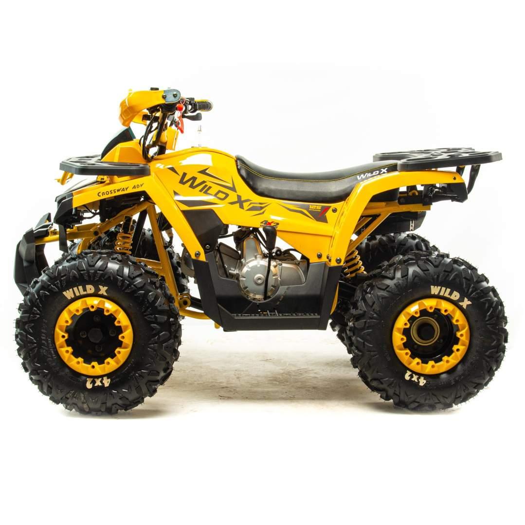 Квадроцикл Motoland 125 WILD X