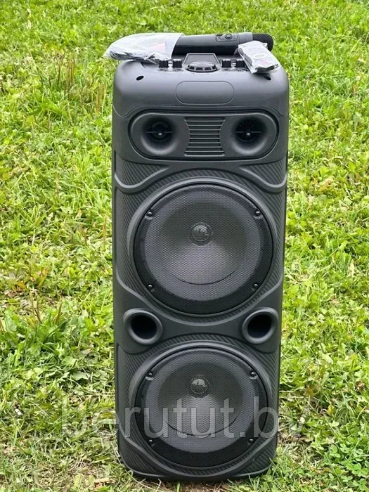 Акустическая колонка напольная Bluetooth Sing-e ZQS8210s с микрофоном - фото 4 - id-p215599827