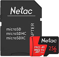 Карта памяти 256Gb Netac P500 Extreme Pro (NT02P500PRO-256G-R)