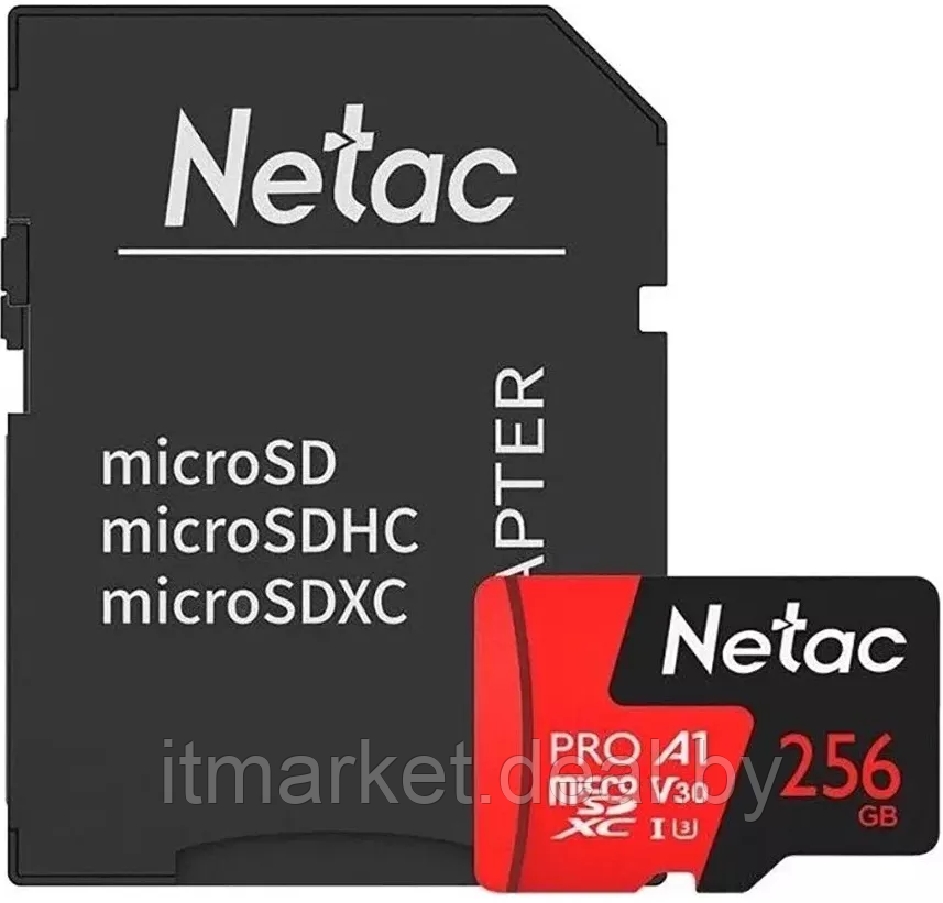 Карта памяти 256Gb Netac P500 Extreme Pro (NT02P500PRO-256G-R) - фото 1 - id-p214885142