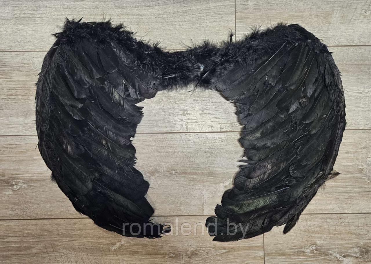 Крылья ангела, демона чёрные - фото 2 - id-p215652848