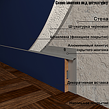 Плинтус алюминиевый скрытого монтажа черный (98,4*14,5*2700 мм) теневой зазор 80мм AFD 1, фото 4