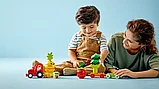 Конструктор  LEGO DUPLO 10982, Трактор с овощами и фруктами, фото 10