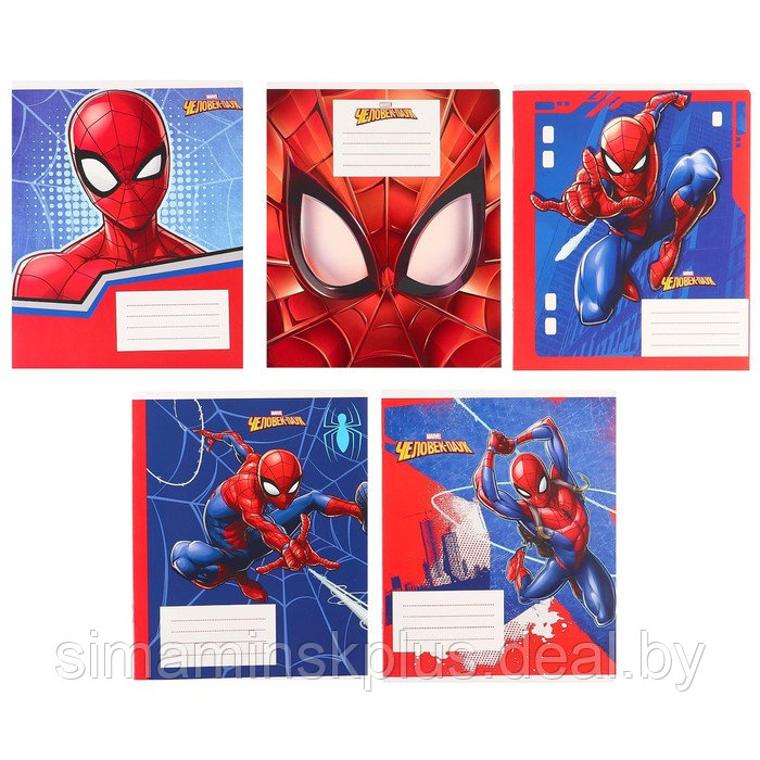 Подарочный набор для мальчика, 10 предметов, Человек-паук - фото 6 - id-p215713215