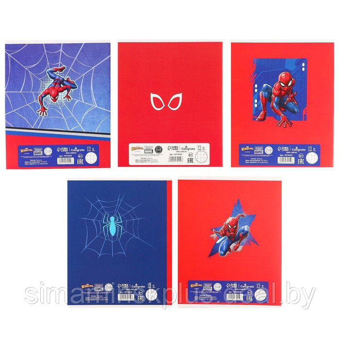 Подарочный набор для мальчика, 10 предметов, Человек-паук - фото 7 - id-p215713215