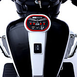 Электромотоцикл «Трайк», 2-х местный, 2 мотора, цвет чёрно-белый, фото 6