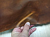 Натуральная кожа Крейзи Хорс 1.3-1.5 цвет  Табак, фото 2